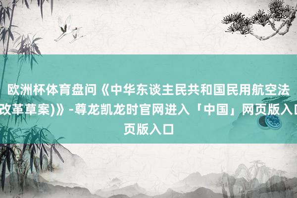 欧洲杯体育盘问《中华东谈主民共和国民用航空法(改革草案)》-尊龙凯龙时官网进入「中国」网页版入口