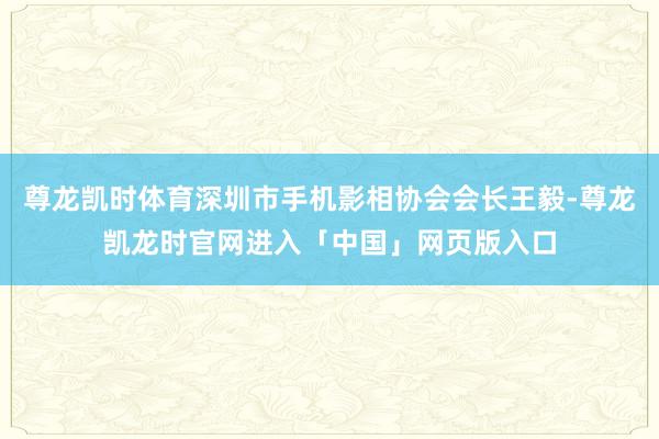 尊龙凯时体育深圳市手机影相协会会长王毅-尊龙凯龙时官网进入「中国」网页版入口