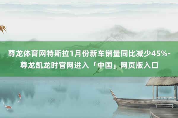 尊龙体育网特斯拉1月份新车销量同比减少45%-尊龙凯龙时官网进入「中国」网页版入口