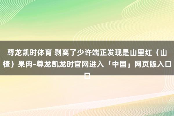尊龙凯时体育 剥离了少许端正发现是山里红（山楂）果肉-尊龙凯龙时官网进入「中国」网页版入口
