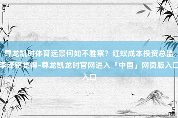 尊龙凯时体育远景何如不雅察?红蚁成本投资总监李泽铭觉得-尊龙凯龙时官网进入「中国」网页版入口