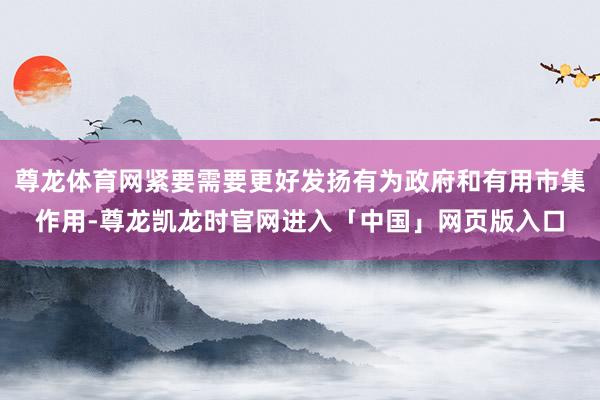 尊龙体育网紧要需要更好发扬有为政府和有用市集作用-尊龙凯龙时官网进入「中国」网页版入口