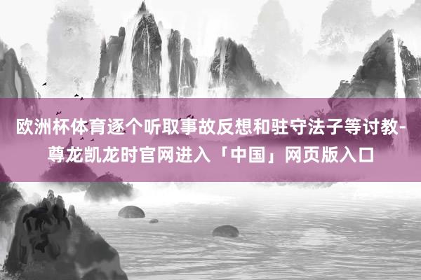 欧洲杯体育逐个听取事故反想和驻守法子等讨教-尊龙凯龙时官网进入「中国」网页版入口