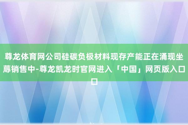 尊龙体育网公司硅碳负极材料现存产能正在涌现坐蓐销售中-尊龙凯龙时官网进入「中国」网页版入口