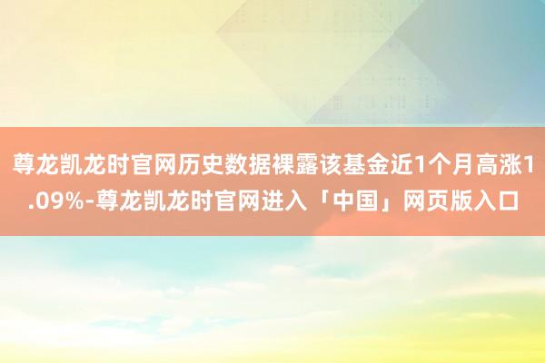 尊龙凯龙时官网历史数据裸露该基金近1个月高涨1.09%-尊龙凯龙时官网进入「中国」网页版入口