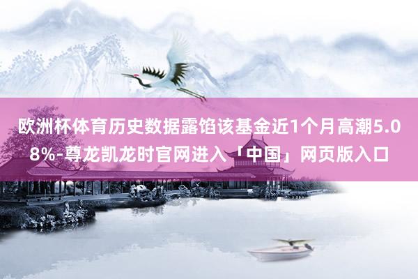 欧洲杯体育历史数据露馅该基金近1个月高潮5.08%-尊龙凯龙时官网进入「中国」网页版入口