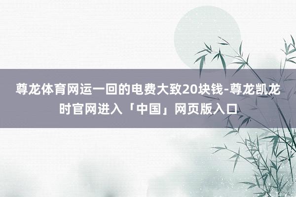 尊龙体育网运一回的电费大致20块钱-尊龙凯龙时官网进入「中国」网页版入口