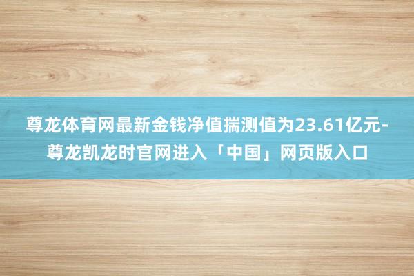尊龙体育网最新金钱净值揣测值为23.61亿元-尊龙凯龙时官网进入「中国」网页版入口