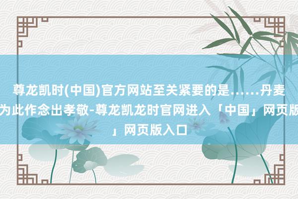 尊龙凯时(中国)官方网站至关紧要的是……丹麦正在为此作念出孝敬-尊龙凯龙时官网进入「中国」网页版入口