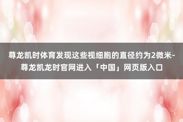 尊龙凯时体育发现这些视细胞的直径约为2微米-尊龙凯龙时官网进入「中国」网页版入口