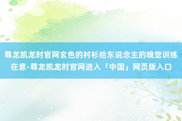 尊龙凯龙时官网玄色的衬衫给东说念主的嗅觉训练在意-尊龙凯龙时官网进入「中国」网页版入口