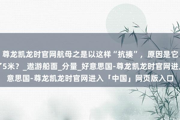 尊龙凯龙时官网航母之是以这样“抗揍”，原因是它用的钢板厚度就达到了5米？_遨游船面_分量_好意思国-尊龙凯龙时官网进入「中国」网页版入口