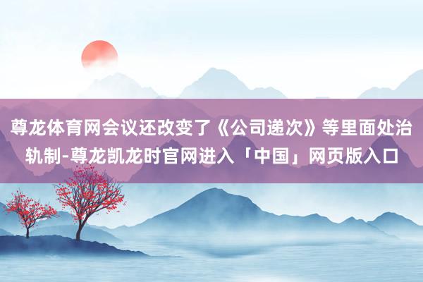尊龙体育网会议还改变了《公司递次》等里面处治轨制-尊龙凯龙时官网进入「中国」网页版入口