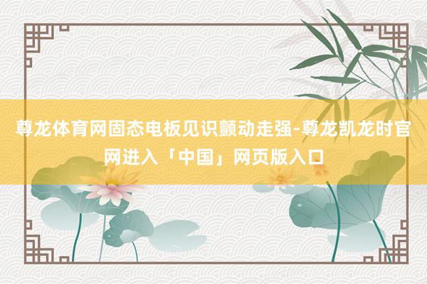 尊龙体育网固态电板见识颤动走强-尊龙凯龙时官网进入「中国」网页版入口