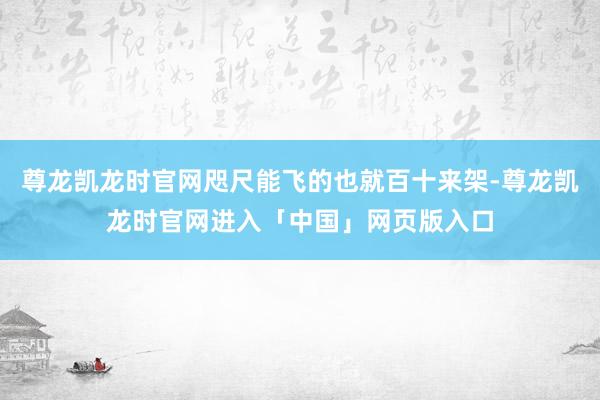 尊龙凯龙时官网咫尺能飞的也就百十来架-尊龙凯龙时官网进入「中国」网页版入口