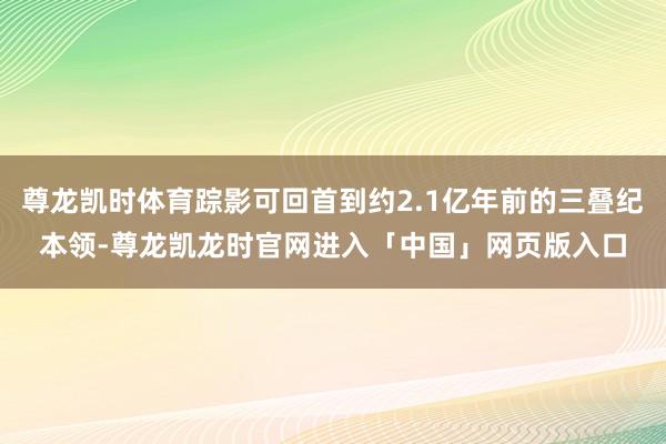 尊龙凯时体育踪影可回首到约2.1亿年前的三叠纪本领-尊龙凯龙时官网进入「中国」网页版入口