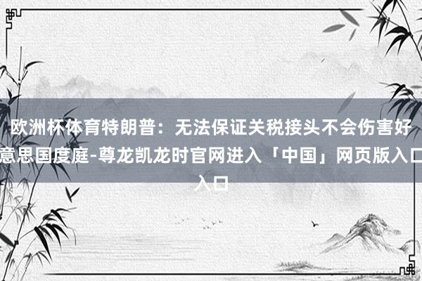 欧洲杯体育特朗普：无法保证关税接头不会伤害好意思国度庭-尊龙凯龙时官网进入「中国」网页版入口