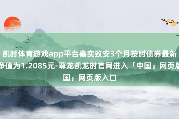 凯时体育游戏app平台嘉实致安3个月按时债券最新单元净值为1.2085元-尊龙凯龙时官网进入「中国」网页版入口