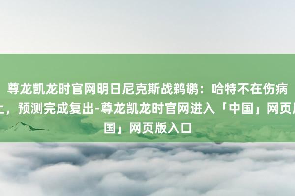 尊龙凯龙时官网明日尼克斯战鹈鹕：哈特不在伤病讲明上，预测完成复出-尊龙凯龙时官网进入「中国」网页版入口