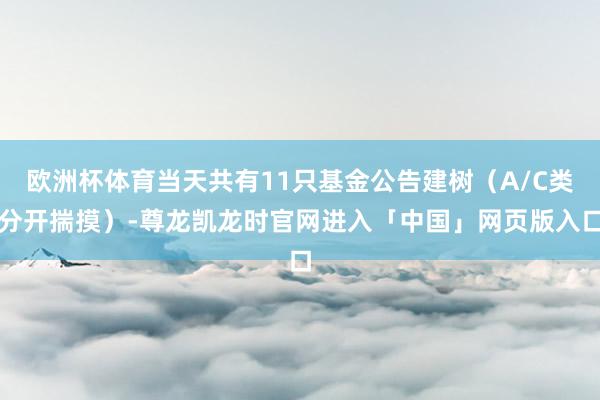 欧洲杯体育当天共有11只基金公告建树（A/C类分开揣摸）-尊龙凯龙时官网进入「中国」网页版入口