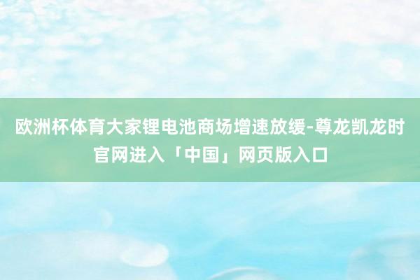 欧洲杯体育大家锂电池商场增速放缓-尊龙凯龙时官网进入「中国」网页版入口