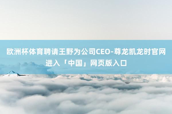 欧洲杯体育聘请王野为公司CEO-尊龙凯龙时官网进入「中国」网页版入口