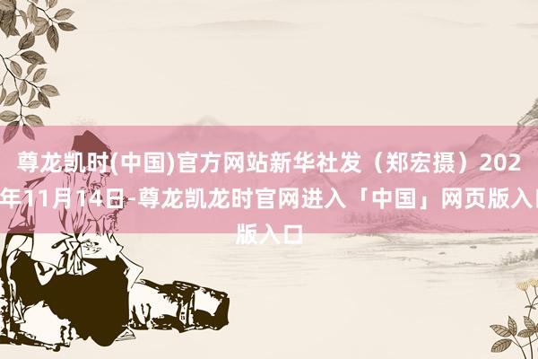 尊龙凯时(中国)官方网站新华社发（郑宏摄）2025年11月14日-尊龙凯龙时官网进入「中国」网页版入口