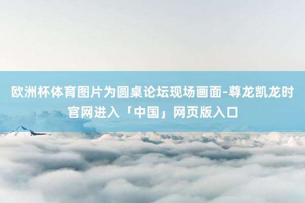 欧洲杯体育图片为圆桌论坛现场画面-尊龙凯龙时官网进入「中国」网页版入口
