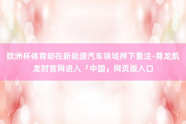 欧洲杯体育却在新能源汽车领域押下重注-尊龙凯龙时官网进入「中国」网页版入口