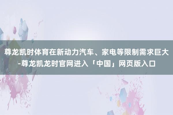尊龙凯时体育在新动力汽车、家电等限制需求巨大-尊龙凯龙时官网进入「中国」网页版入口