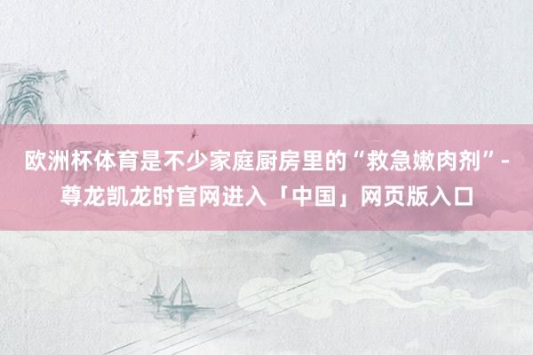 欧洲杯体育是不少家庭厨房里的“救急嫩肉剂”-尊龙凯龙时官网进入「中国」网页版入口