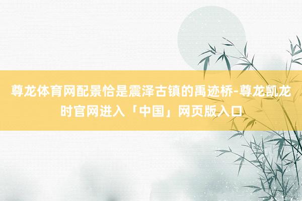 尊龙体育网配景恰是震泽古镇的禹迹桥-尊龙凯龙时官网进入「中国」网页版入口
