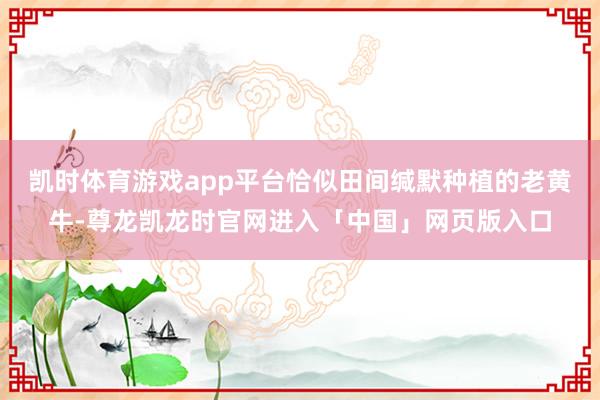 凯时体育游戏app平台恰似田间缄默种植的老黄牛-尊龙凯龙时官网进入「中国」网页版入口