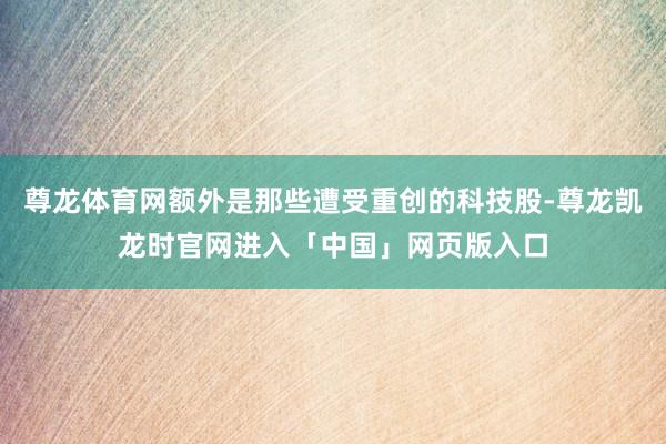 尊龙体育网额外是那些遭受重创的科技股-尊龙凯龙时官网进入「中国」网页版入口