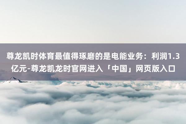 尊龙凯时体育最值得琢磨的是电能业务:利润1.3亿元-尊龙凯龙时官网进入「中国」网页版入口