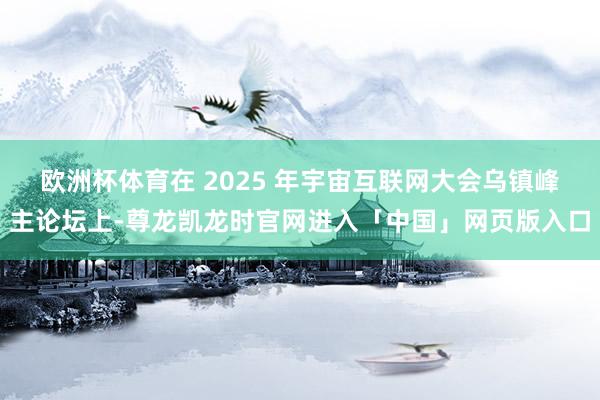欧洲杯体育在 2025 年宇宙互联网大会乌镇峰主论坛上-尊龙凯龙时官网进入「中国」网页版入口