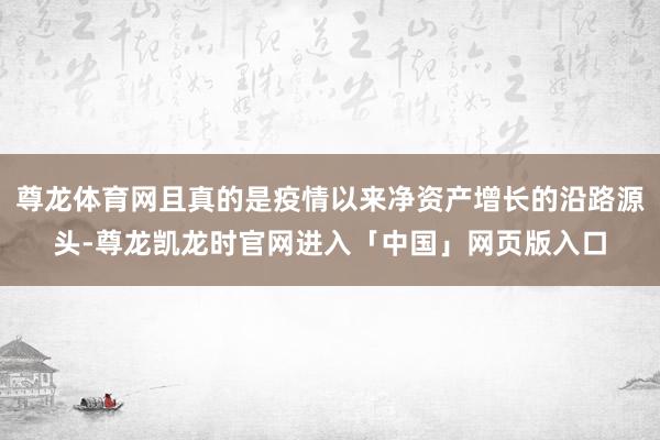 尊龙体育网且真的是疫情以来净资产增长的沿路源头-尊龙凯龙时官网进入「中国」网页版入口