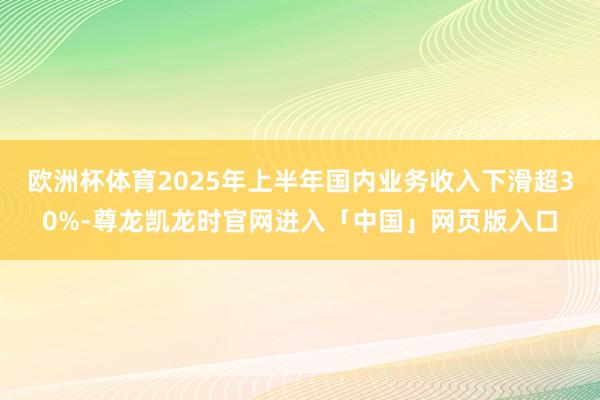 欧洲杯体育2025年上半年国内业务收入下滑超30%-尊龙凯龙时官网进入「中国」网页版入口