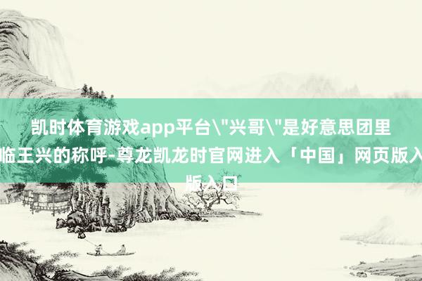 凯时体育游戏app平台